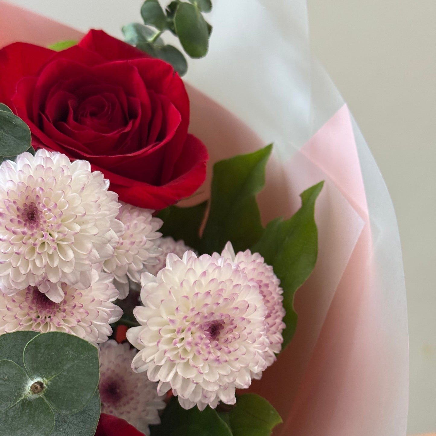 Rosy Affection