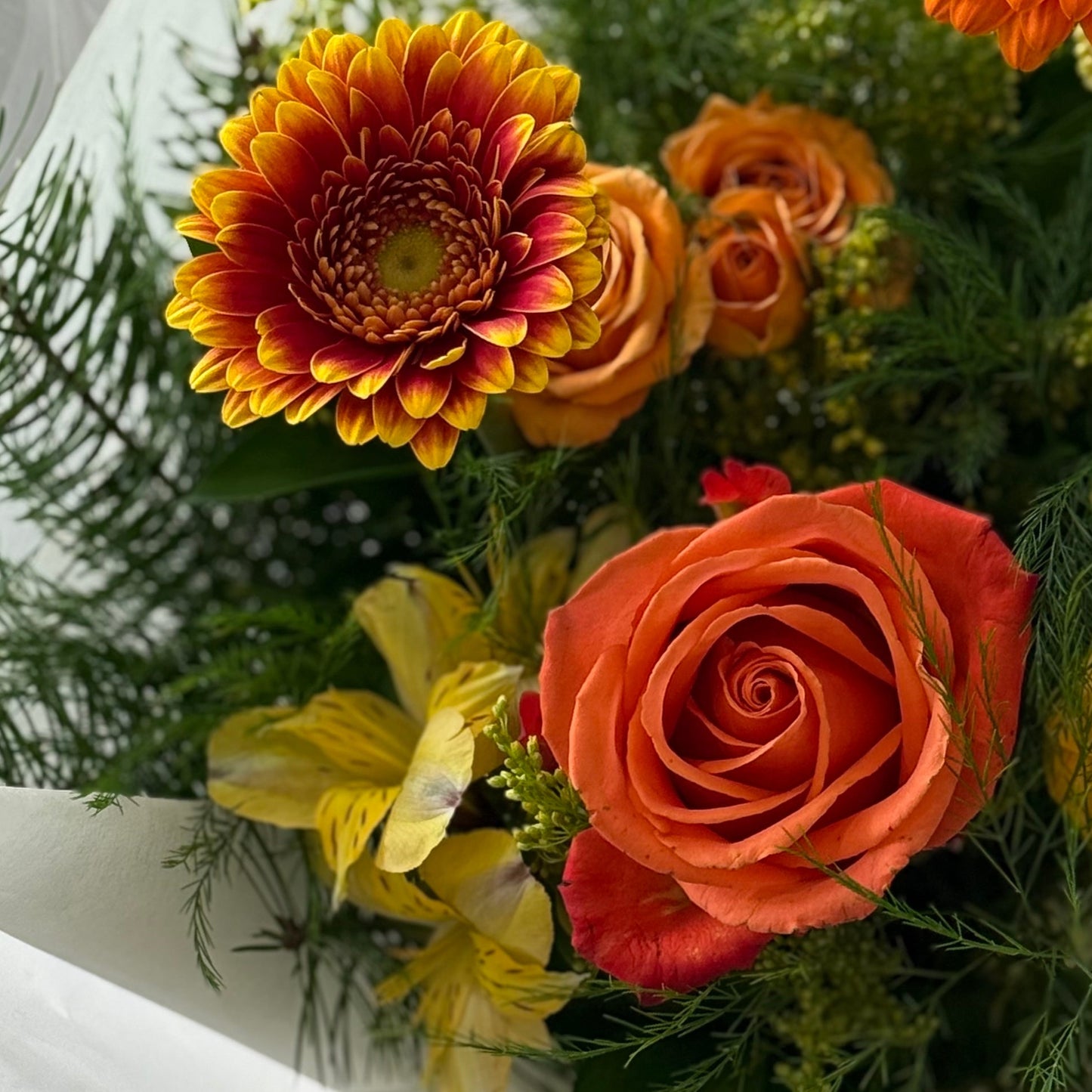 Juicy Bloom