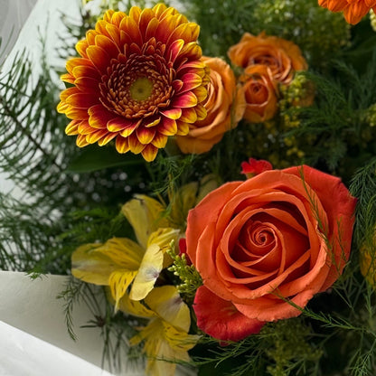 Juicy Bloom