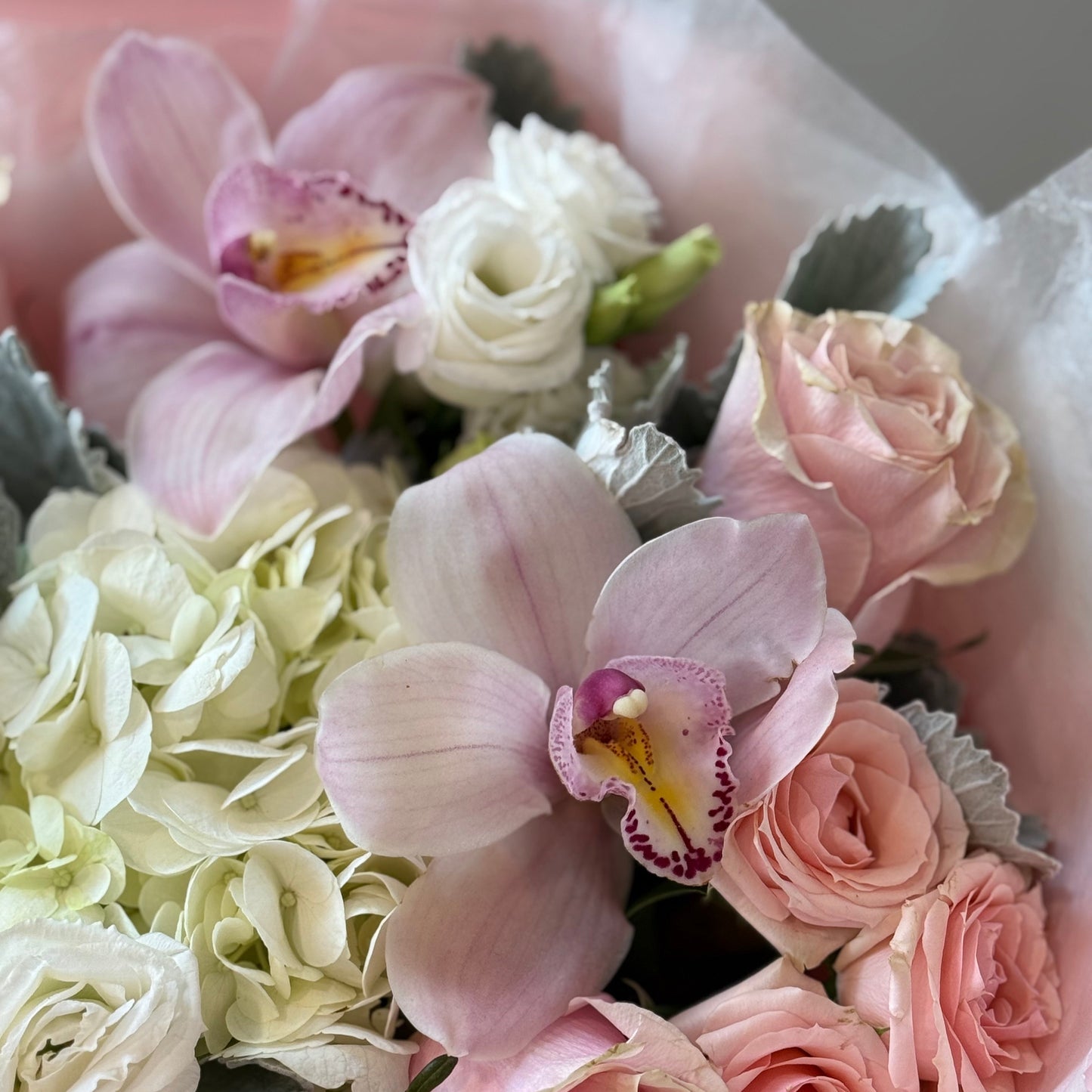 Pink Embrace