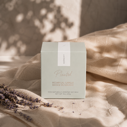[Classic Candles] Lavender