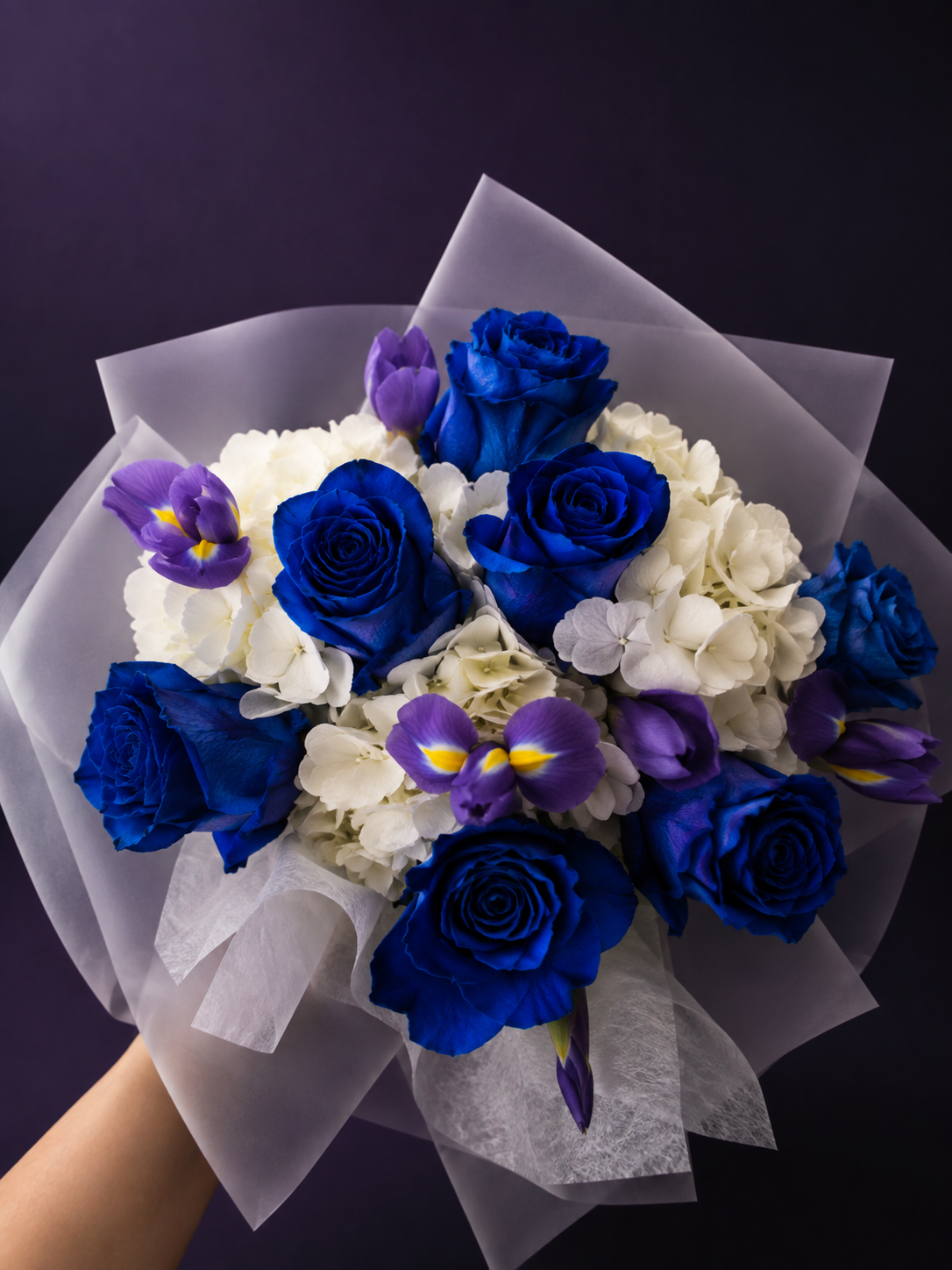 Rhapsody in Blue