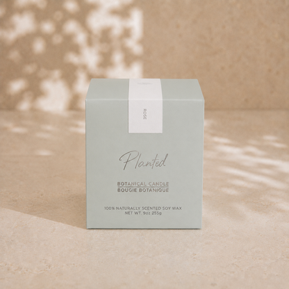 [Classic Candles] Rose